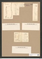 Pleurosigma var. curvulum (Kuetz) Grun. (de-Toni-Nr.: Genus 13, Species 1076) Zeichnungen Sammlung Grunow Nr. 1960 (NHMW-BOT-W0369103)